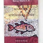 Balog Márta CB: Közösség és közösségvezetés fotó