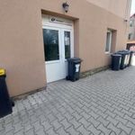 Utcai bejárattal Üzlethelyiségek Pusztaszabolcs fotó