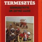 Paprikatermesztés fotó