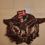 Magyar címeres kitüző fotó
