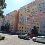 Panel Lakások Budapest Alsórákos Zsivora park fotó