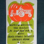 Kártyanaptár, MÉK zöldség gyümölcs szövetkezetek , grafikai rajzos, traktor, 1961 (1) fotó