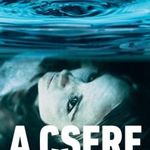 Stefan Ahnhem A csere - skandináv krimik Újszerű fotó
