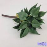 Szívleveles gumis bokor 21 cm - Sötét Zöld fotó