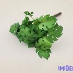 Cakkos levelű gumis bokor 21 cm - Zöld Foltos fotó