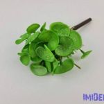Békalencse gumis bokor 21 cm - Világos Zöld Foltos fotó