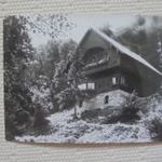 Városlőd. Erdei kastély. /nem futott fotó