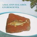 Bodó Iván - Bihari Puhl Levente - Nagy Gábor - Gyarmati Ariel: A Balaton halairól gyerekeknek fotó