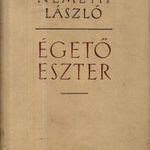 Égető Eszter fotó