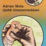 Adrian Mole újabb kínszenvedései fotó