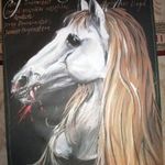 "K" A fehér sárkány 60x80 cm fotó