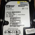 RETRO PC alkatrész - HDD - WDC WD800JD-60JRA0 - WESTERN DIGITAL CAVIAR WD800 - 80GB - hibátlan fotó