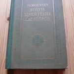 Turgenyev: Rugyin/Nemesi fészek A küszöbön fotó