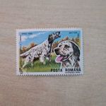 Románia bélyeg: Angol szetter (Canis lupus familiaris) 1990 fotó