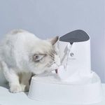 Automata itatókút szűrővel - macskáknak és kistestű kutyáknak fotó