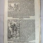 1550 Ptolemaiosz a legkiválóbb csillagász fametszeten, Münster Cosmografia című enciklopédiából fotó