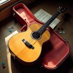 High-Quality Guitar for Sale - Perfect for Musicians fotó