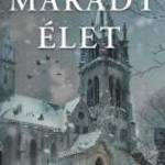 Előrendelhető: Florans Matias: Árván maradt élet - Gyémántfelhő Kiadó fotó