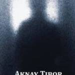 AKNAY TIBOR: TÜKÖRHOMÁLYBAN - VERSEK - HUNGAROVOX BT. fotó