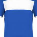 Gyerek póló Proact PA4001 Kids' Short Sleeve Jersey -10/12, Sporty Royal Blue/White fotó