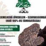 TELEPÍTSEN SZARVASGOMBÁS ERDŐT 100% OS ÁLLAMI TÁMOGATÁSSAL fotó