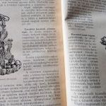 KEMÉNYFFI - TÓTH : CUKRÁSZKÖNYV 1958 CUKRÁSZ BIBLIA SZAKÁCSKÖNYV CUKRÁSZAT CUKRÁSZTANKÖNYV ALAPMŰ fotó