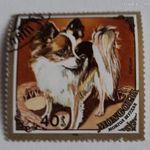 1984-es kutyák 40 Mongol Möngö fotó