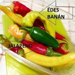 Mini JALAPENO PALÁNTA !!! (30 féle chili paprika, HÁZHOZ MÁJUS 16-án !!!) fotó