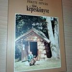 Gáspár János : Fekete István Ajkai képeskönyve fotó