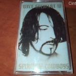Dave Stewart And The Spiritual Cowboys (Hungarian MC 1990) fotó