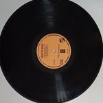 PINK FLOYD A MOMENTUM LAPSE OF REASON BAKELIT LEMEZ 1FT fotó