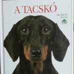 A tacskó fotó