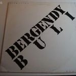 Bergendy Szalon Zenekar – Bergendy Buli (Gépi mosóval tisztítva) fotó