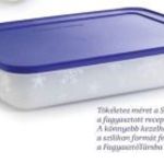 Tupperware Fagyasztó Társ 2, 25L! fotó