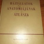 Kovács Gyula: Háziállatok anatómiájának atlasza Mezőgazdasági RITKA!! MEZŐGAZDASÁG fotó
