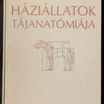 Dr Fehér György: Háziállatok tájanatómiája fotó