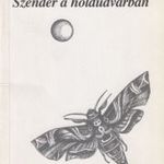 Szender a holdudvarban fotó