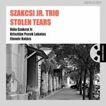 Szakcsi Jr. Trio: Stolen Tears (LP) (ÚJ) fotó