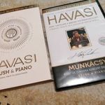 DVD - Havasi - Munkácsy - Ecset és zongora (DVD+CD) fotó