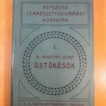 1910 Dr. Wodetzky József: Üstökösök - Bevezetés a csillagászat ismeretlen titkaiba - SZÉP fotó