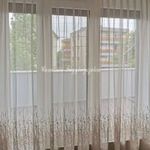 Modern minőségi csipkefüggöny, DANILO 7 színben 290cm magasságban. fotó