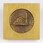 1S096 Tiszai Vegyi Kombinát TVK bronz plakett 1988 fotó