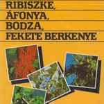 Ribiszke, áfonya, bodza, fekete berkenye fotó