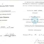 HAZA SZOLG, SZOLG.ÉRDEM, SZOC. BRIGÁD, ELISM.OKL, BM.TÖRZSGÁRD, ÁRVÍZVÉD, KIV.MUNK, 250 ezer KM., BIZONYITVÁ fotó