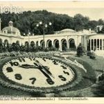 Kurstadt Baden bei Wien (Bécs), virágóra képeslap. fotó