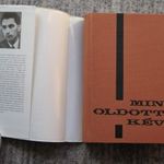 Sárközi György Mint oldott kéve fotó
