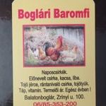 kártyanaptár 2026 Boglári Baromfi fotó