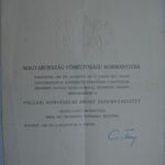Polgári Honvédelmi Bronz Érdemkereszt kitüntetés adományozó oklevél 1944 aug. 14. Csatay fotó