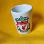 LIVERPOOL FC FELES POHÁR fotó