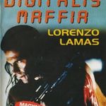 Digitális maffia - DVD Amerikai film, Lorenzo Lamas fotó